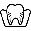 molar-7